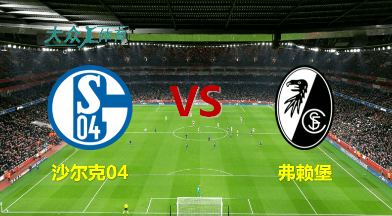 开云体育app-沙尔克客场失利，遭遇德甲阵容调整