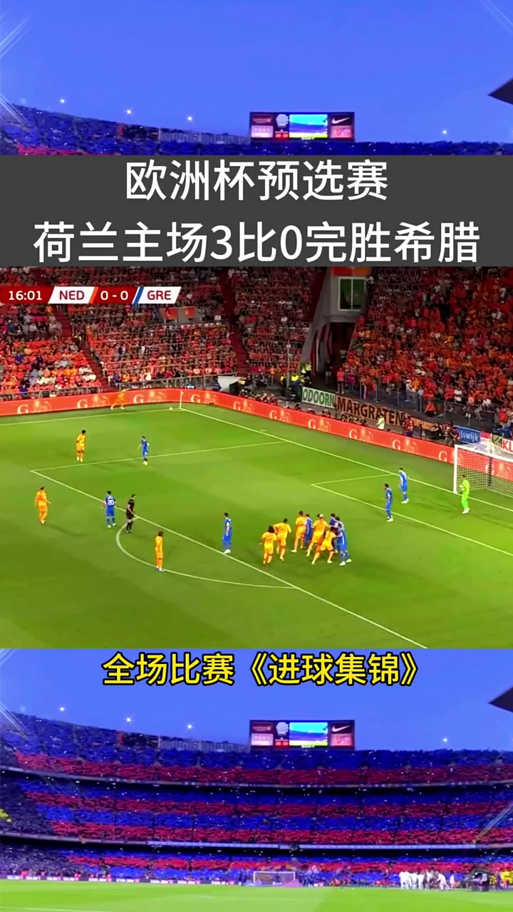 荷兰队斩获冠军称霸赛场 荷兰队斩获冠军称霸赛场