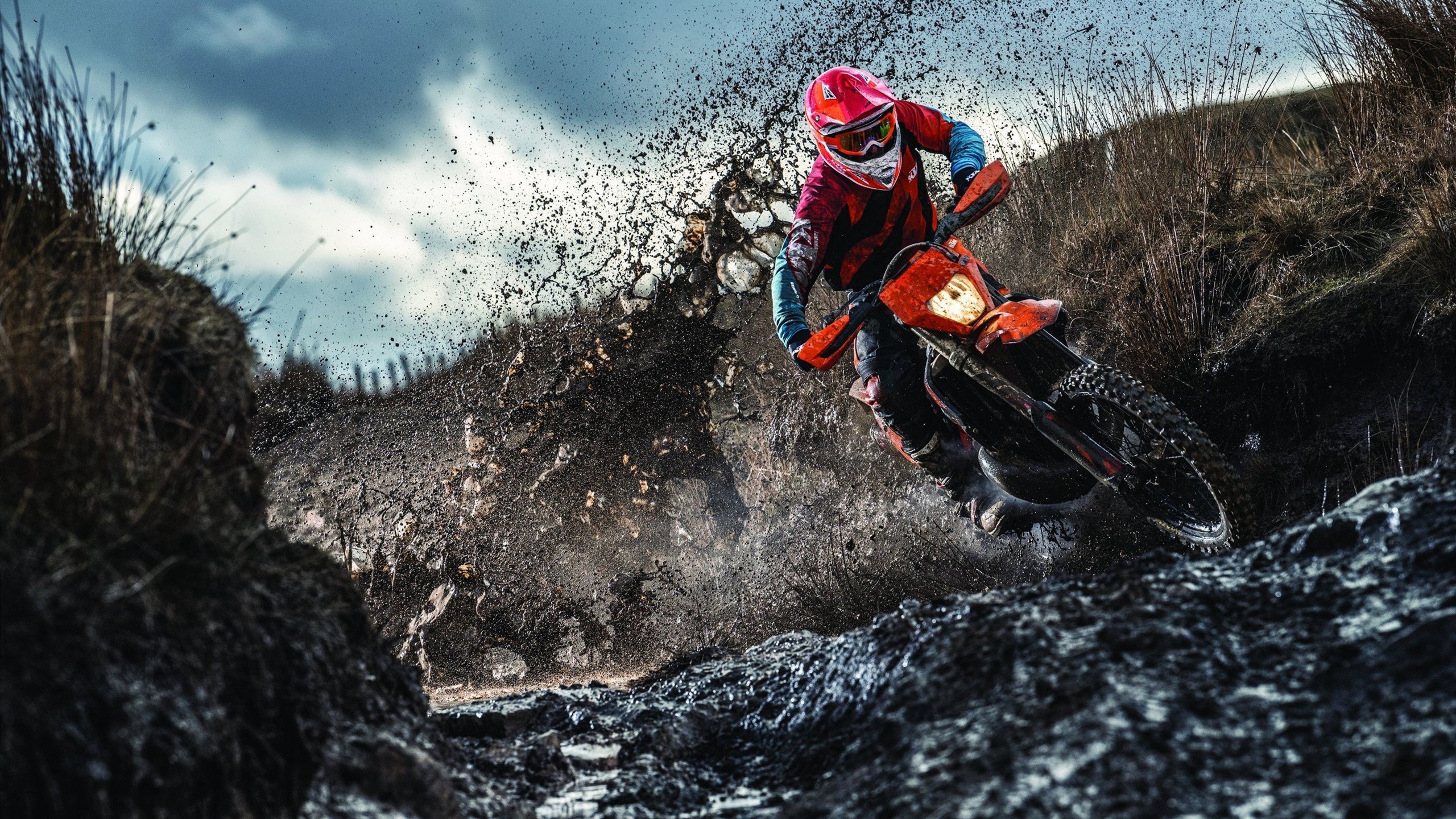 班凯罗，灰熊的唯一解