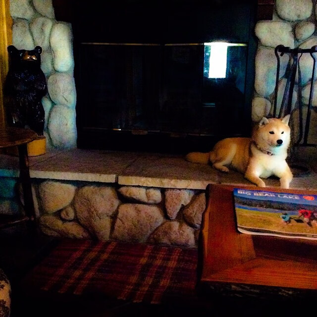 平行宇宙的传奇，灰熊封王夜与克莱救赎时