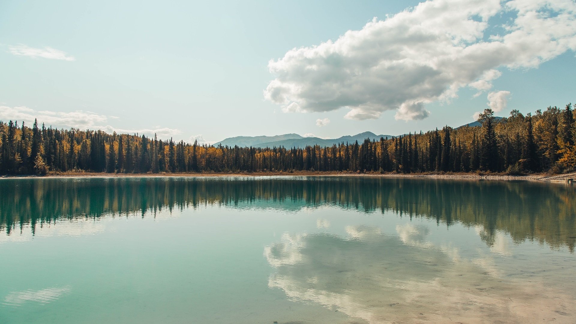 征服街道,沙漠与钢铁的共振—一位墨西哥车手的阿尔及尔战役