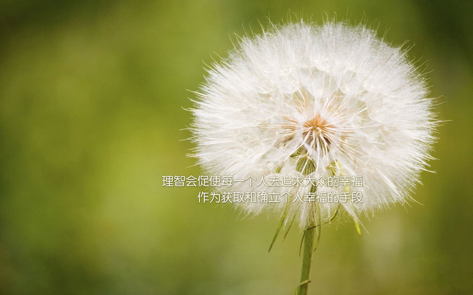 开云体育app-魔笛终章，当劳塔罗的狂飙撕裂撒哈拉防线—记那不勒斯与摩洛哥宿命之战