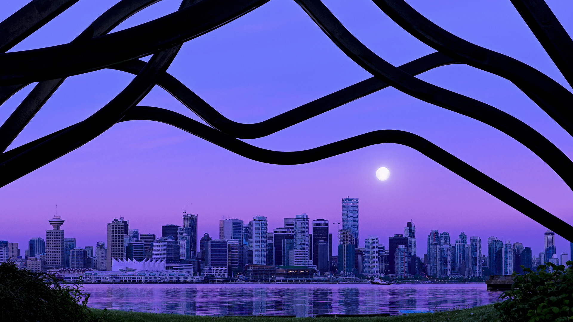 开云官网-那一夜，切特画出决胜的线