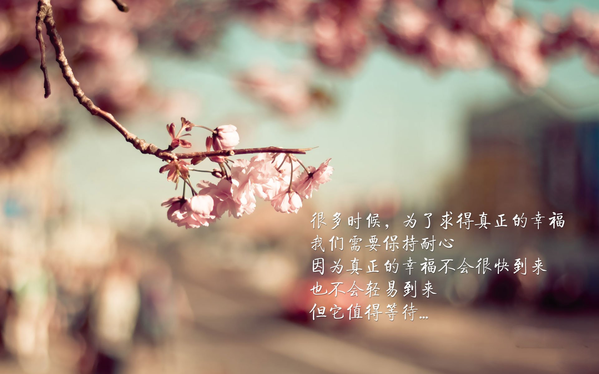 天鹅之舞与泥泞之战，罗德里一锤定音，德甲王冠终落谁家？