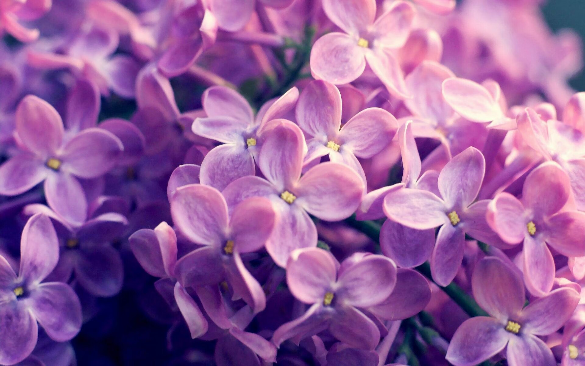 开云体育登录-最熟悉的陌生人，阿圭罗在波兰对阵喀麦隆的烽火中，完成一场独特的自我正名