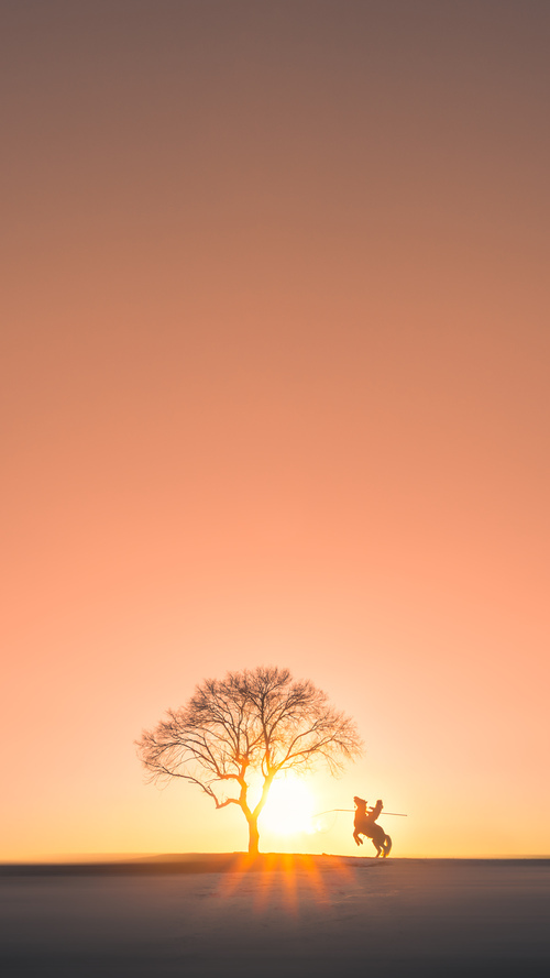 开云体育中国-前NBA冠军后卫一剑封喉!鹈鹕压哨绝杀广厦,范弗利特诠释何为冠军级表现