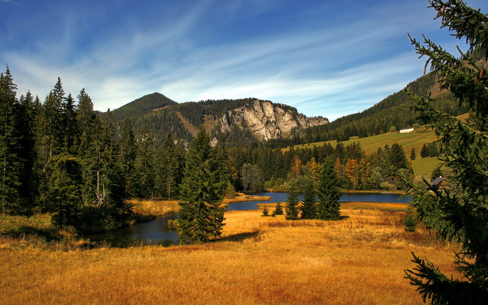 三国内战成舞台，乱局之中见真章，赖斯里程碑之夜勾勒足球新蓝图