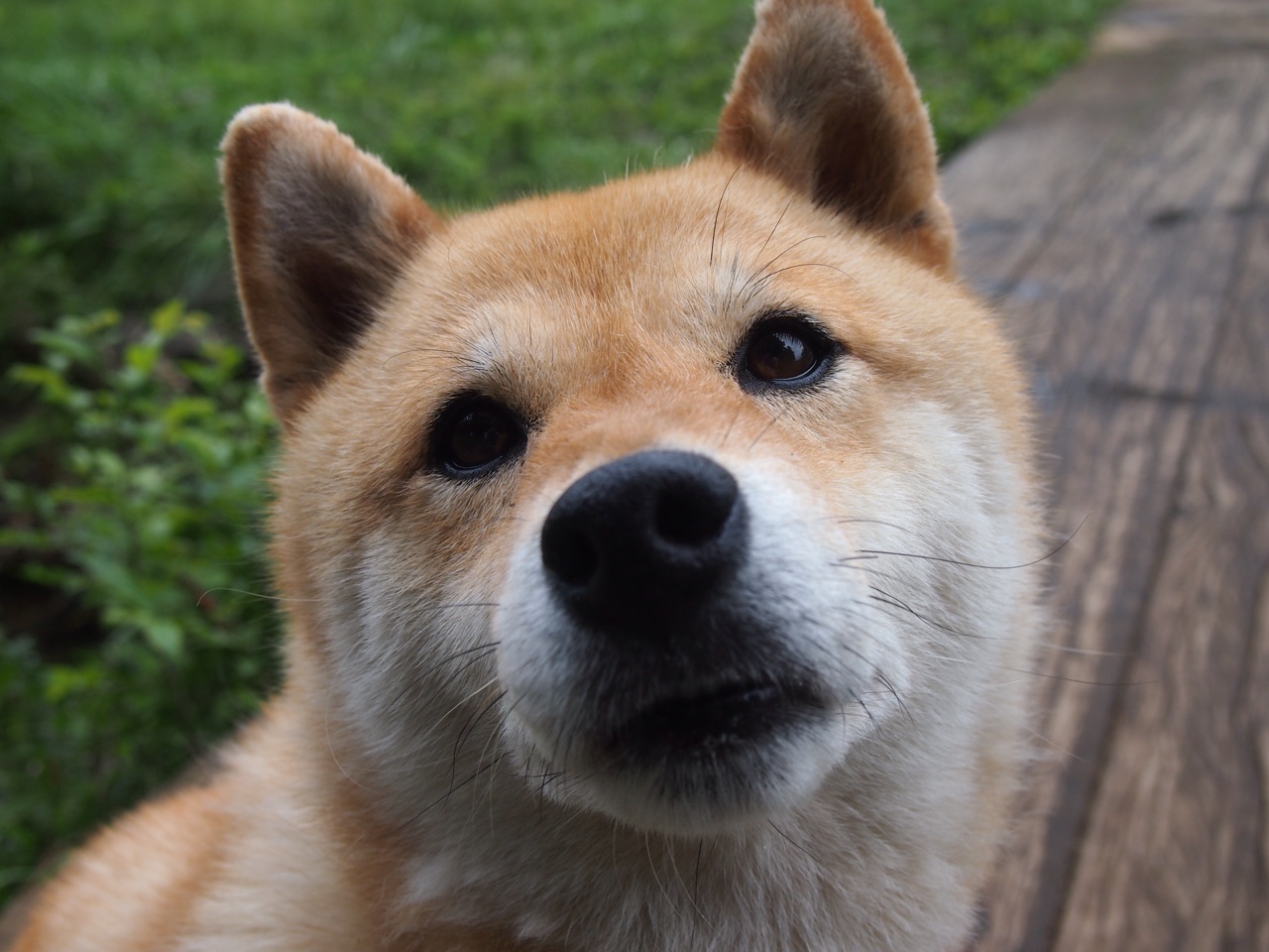 范弗利特,撕裂诺坎普之夜的三分雨