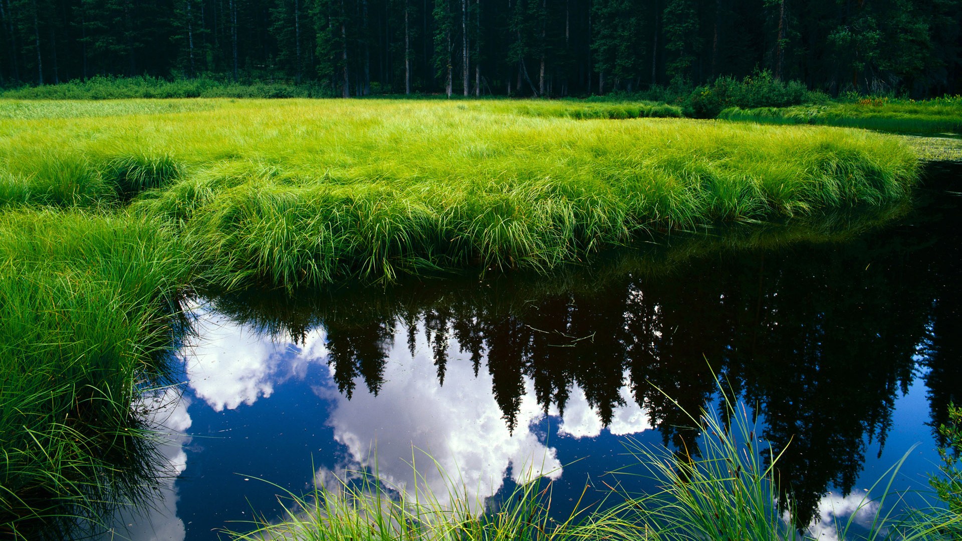 开云官网-凤凰之心，杜兰特撕裂虚空，以一场魔术为骑士加冕自我救赎