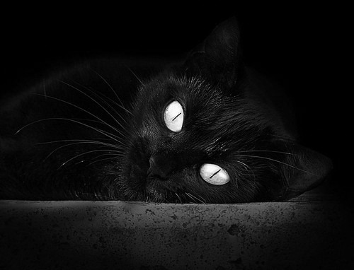 凤凰之心,杜兰特撕裂虚空,以一场魔术为骑士加冕自我救赎