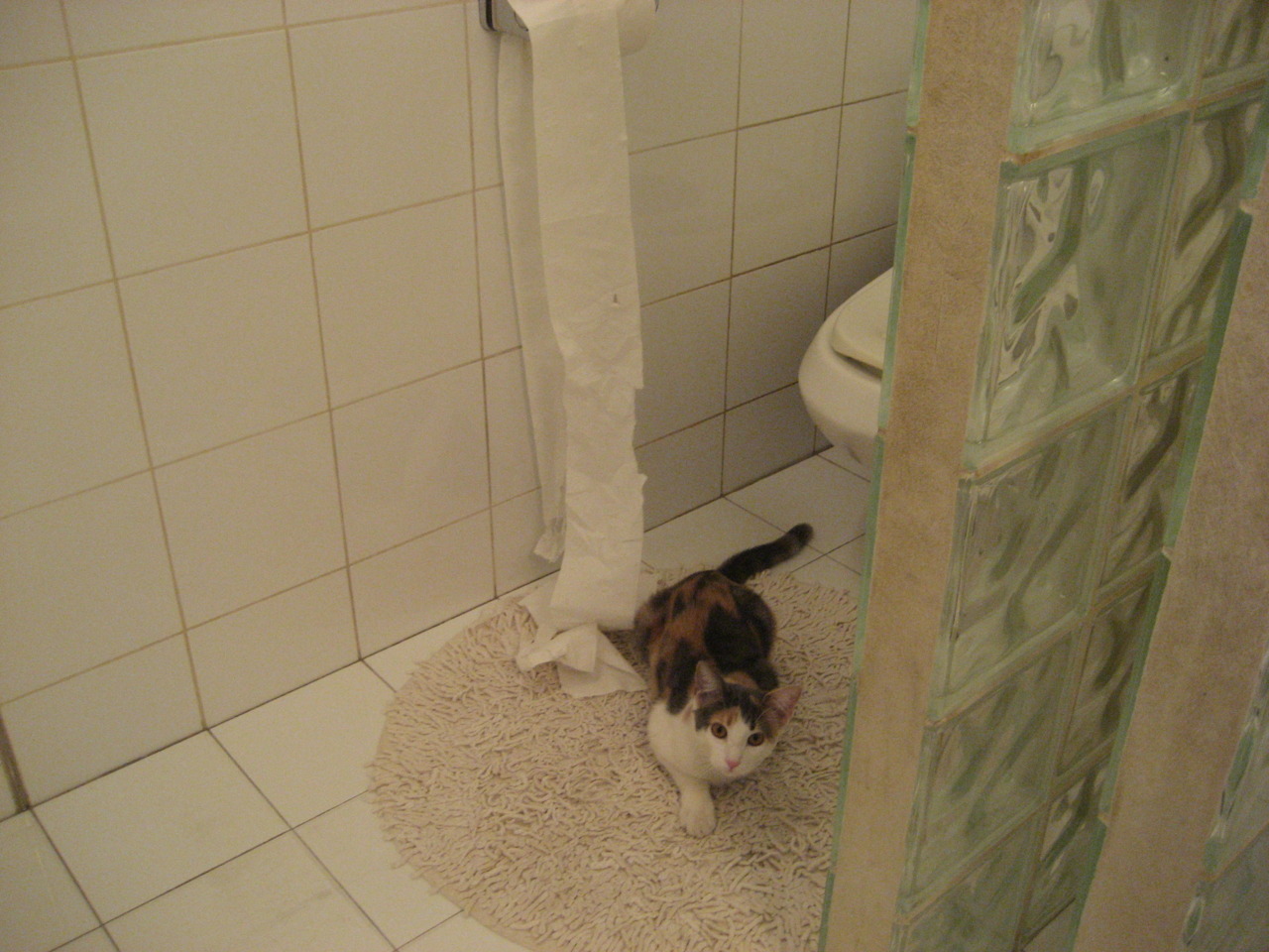 史诗之夜,王冠加冕,拉文的硬仗传奇