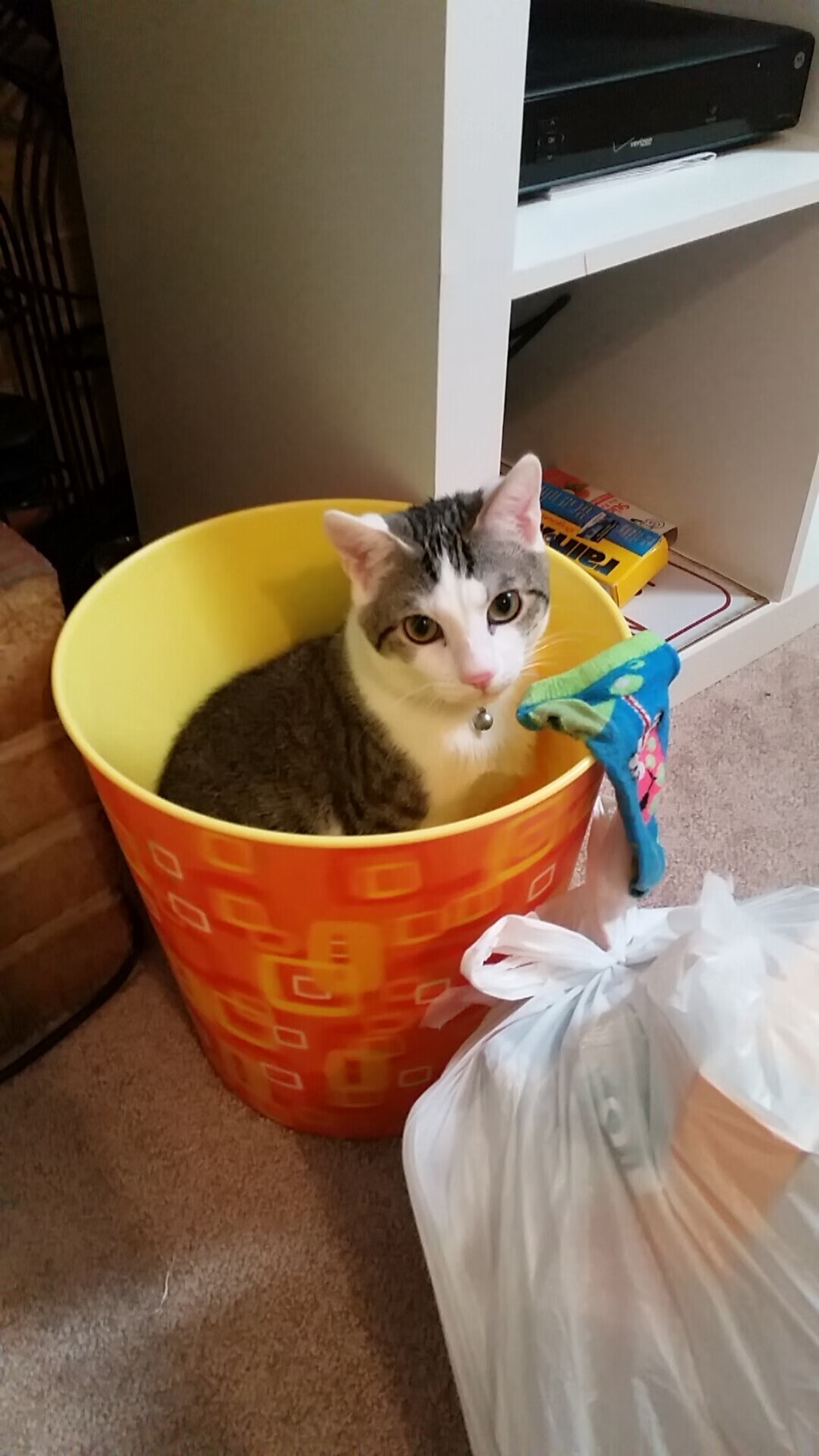 太阳碾压快船,哈利伯顿导演关键胜利,成战术新支点