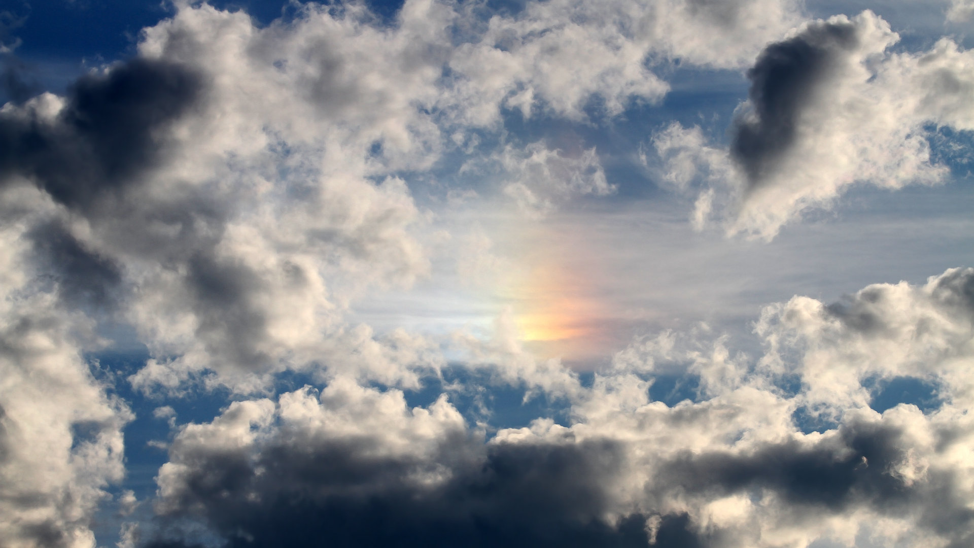 暗夜中的金色闪电，京多安在黄黑风暴中一剑封喉