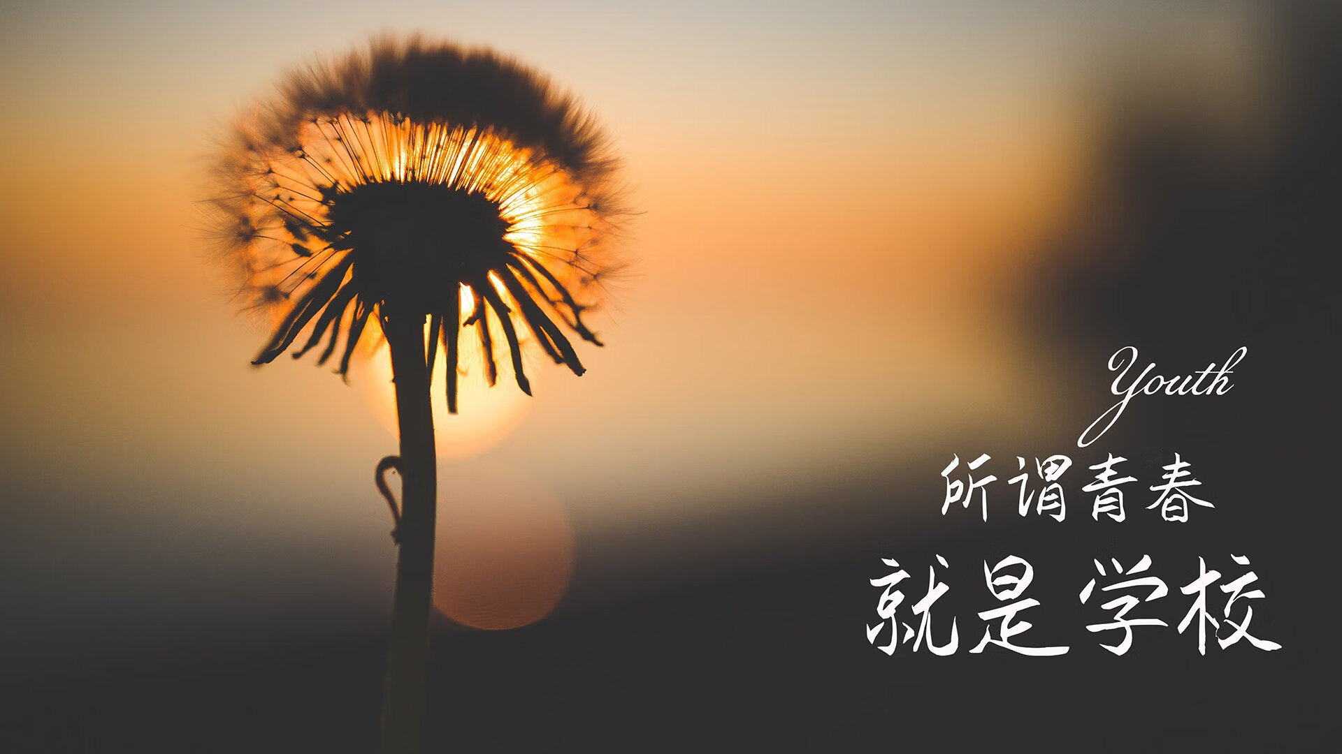 北极光与沙漠之鹰的碰撞,B费铸就2026世界杯D组唯一神迹